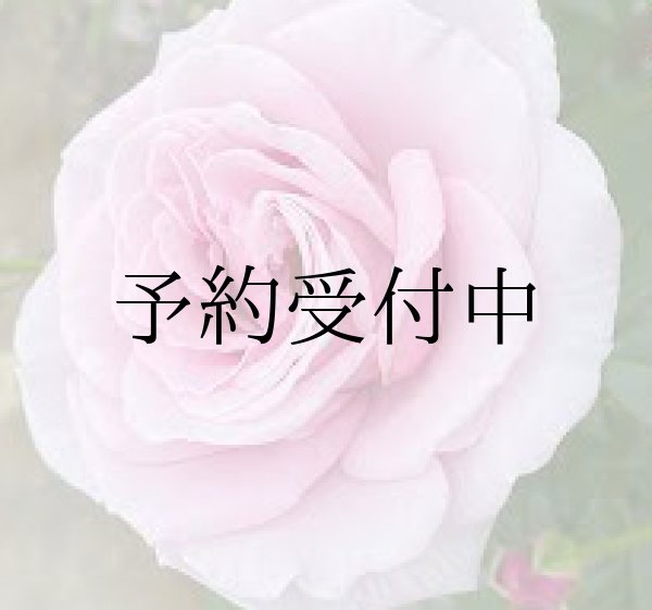 画像1: パフュームドレス（バラ）食用薔薇の苗「食べられる薔薇」送料無料　品種登録出願済み【発送地 山形】 (1)