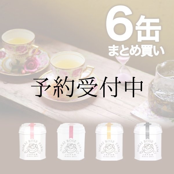 画像1: ローズリーフ®缶20包×6缶まとめ買い (1)