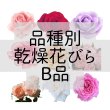 画像1: 乾燥花びら（B品) 100g　食用バラ品種別 (1)